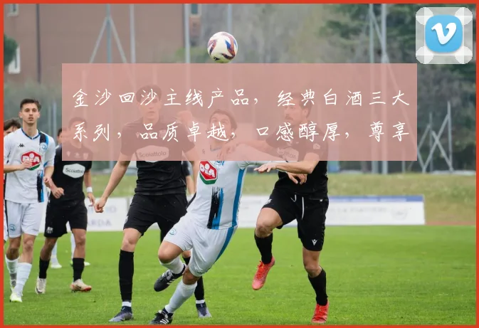 金沙回沙主线产品，经典白酒三大系列，品质卓越，口感醇厚，尊享生活之美，品味传承经典。