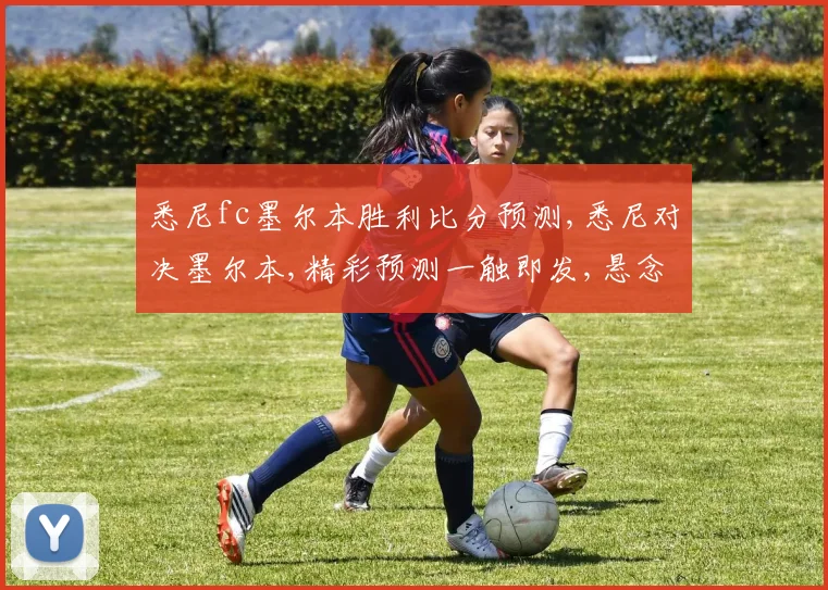悉尼fc墨尔本胜利比分预测,悉尼对决墨尔本,精彩预测一触即发,悬念重重