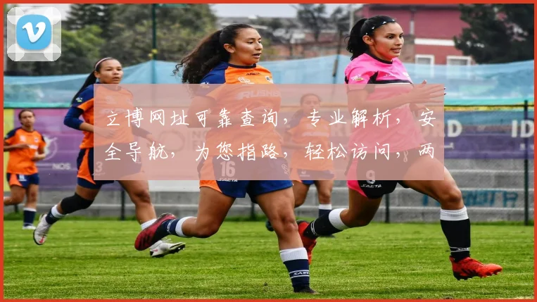 立博网址可靠查询，专业解析，安全导航，为您指路，轻松访问，两大亮点不容错过，必看