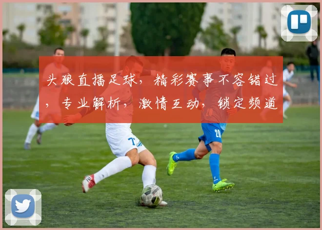 头狼直播足球，精彩赛事不容错过，专业解析，激情互动，锁定频道，共享欢乐