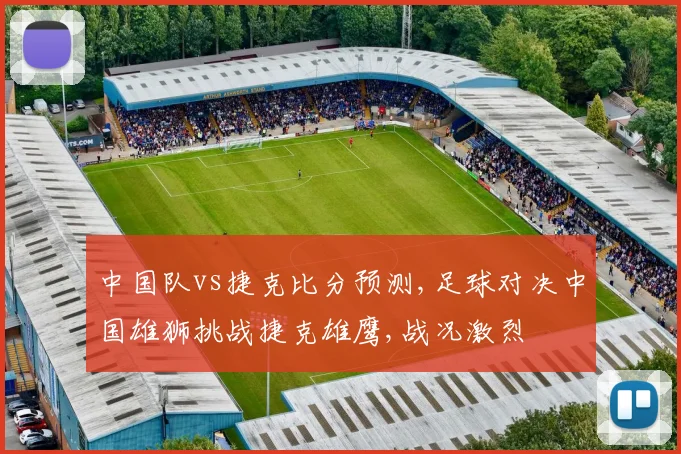 中国队vs捷克比分预测,足球对决中国雄狮挑战捷克雄鹰,战况激烈