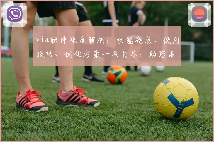 via软件深度解析，功能亮点、使用技巧、优化方案一网打尽，助您高效办公